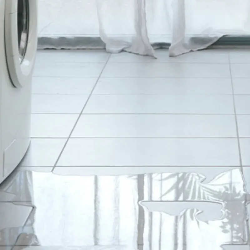 Appliance Leak Cleanup in Dothan, AL